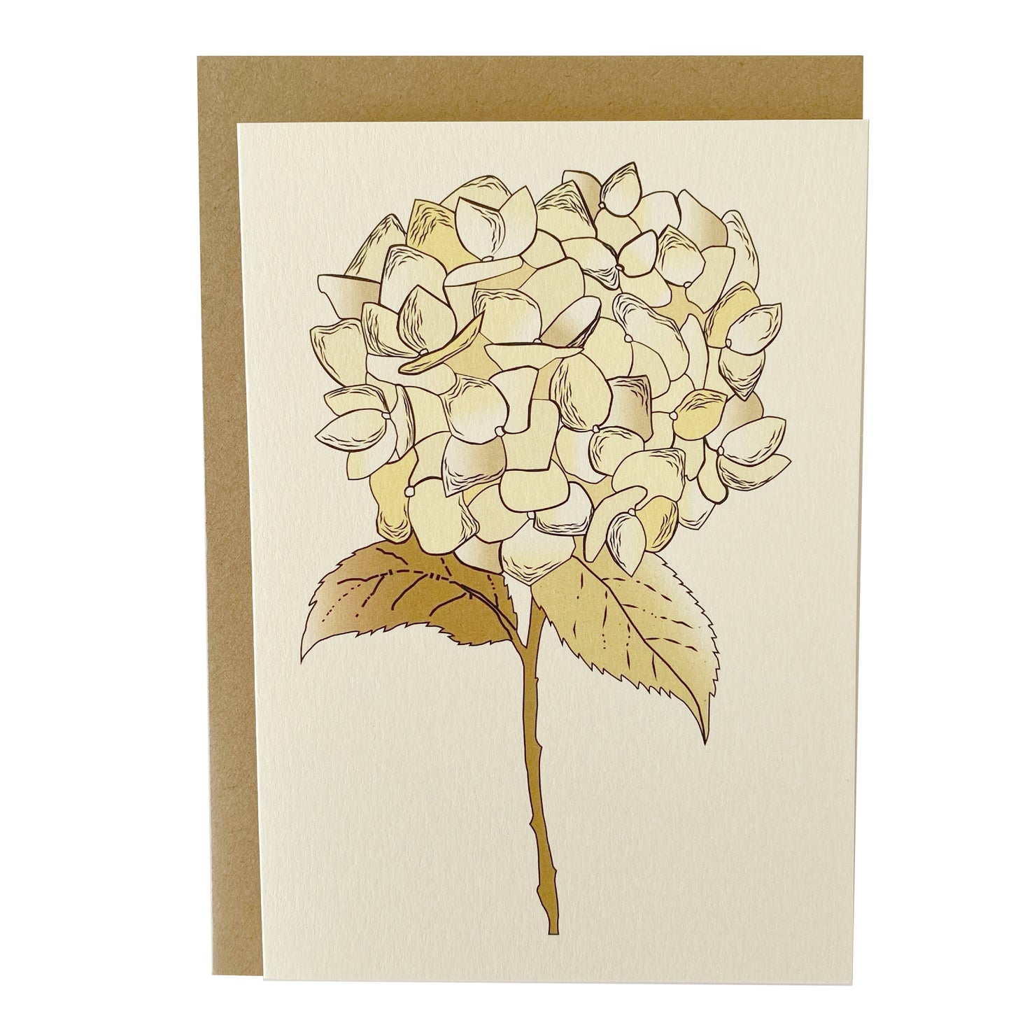 Antique Hydrangea Card