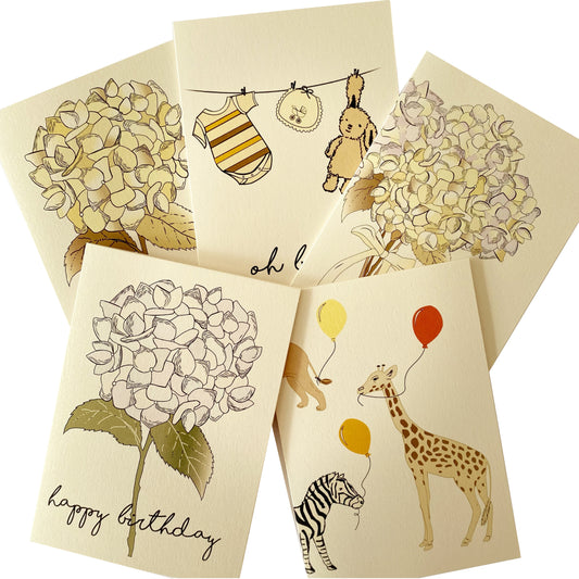 Greeting Cards: 5 pack